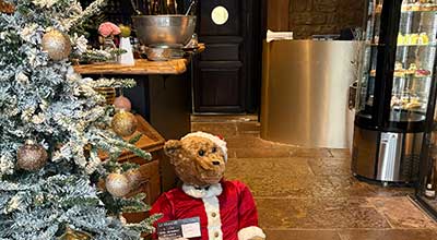 Vue intérieure 7 de l'hôtel-restaurant au Manoir du Soldat à Phalsbourg